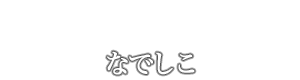 十三風俗求人 なでしこ